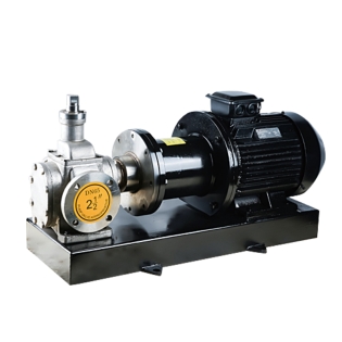 Magnetic Drive Gear Pump | Precise Chemical Fluid Transfer